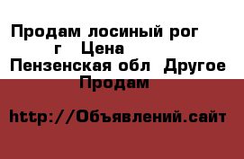 Продам лосиный рог 2016 г › Цена ­ 2 500 - Пензенская обл. Другое » Продам   